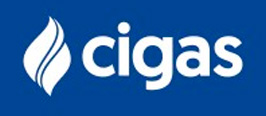 Cliente 13